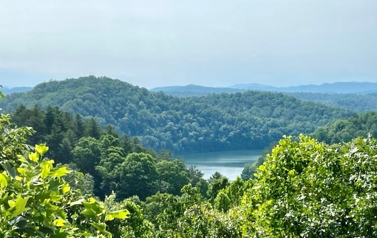 Heavenly View Ln, Murphy, NC 28906