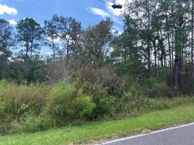 LOT-1 - 00 Richardson Boulevard, Home with 0 bedrooms, 0 bathrooms and null parking in WEBSTER FL | Image 3