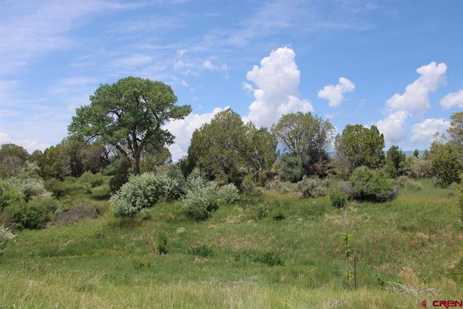 14433 2600 Rd, Home with 0 bedrooms, 0 bathrooms and null parking in Cedaredge CO | Image 37