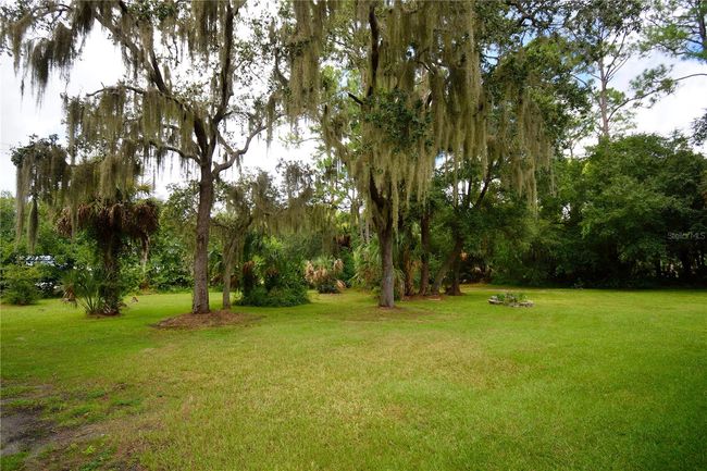 Almost an acre! | Image 20