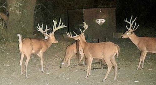 TBD County Road 135, May, TX, 76857 | Card Image