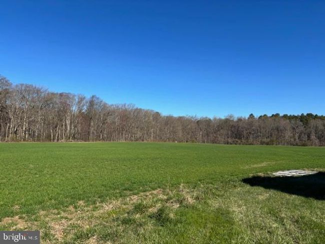 11340 Longwoods Rd, Home with 3 bedrooms, 2 bathrooms and null parking in EASTON MD | Image 39