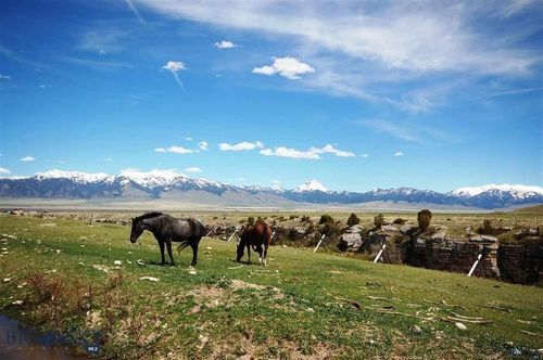 74 Shining Mountains Loop Rd, Ennis, MT, 59729-9192 | Card Image