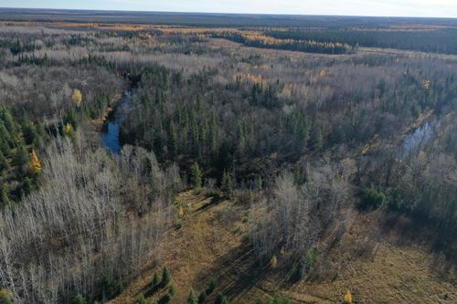 TBD Township Road 98, Loman, MN, 56654 | Card Image