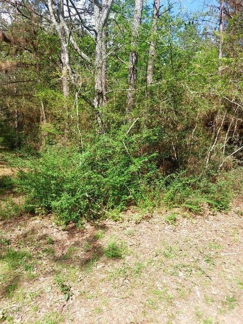 TBD 00 Hummingbird Ln, Hempstead, TX, 77445 | Card Image