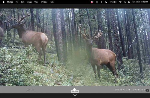 6970 Empire Creek Rd, Canyon Creek, MT, 59633 | Card Image