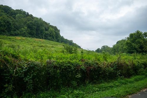 137.01 Dry Creek Rd, Celina, TN, 38551 | Card Image