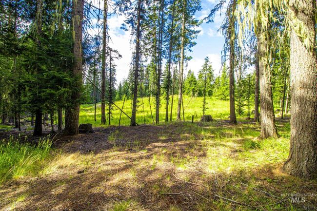 20888 Upper Fords Creek Rd, House other with 2 bedrooms, 2 bathrooms and 2 parking in Weippe ID | Image 13