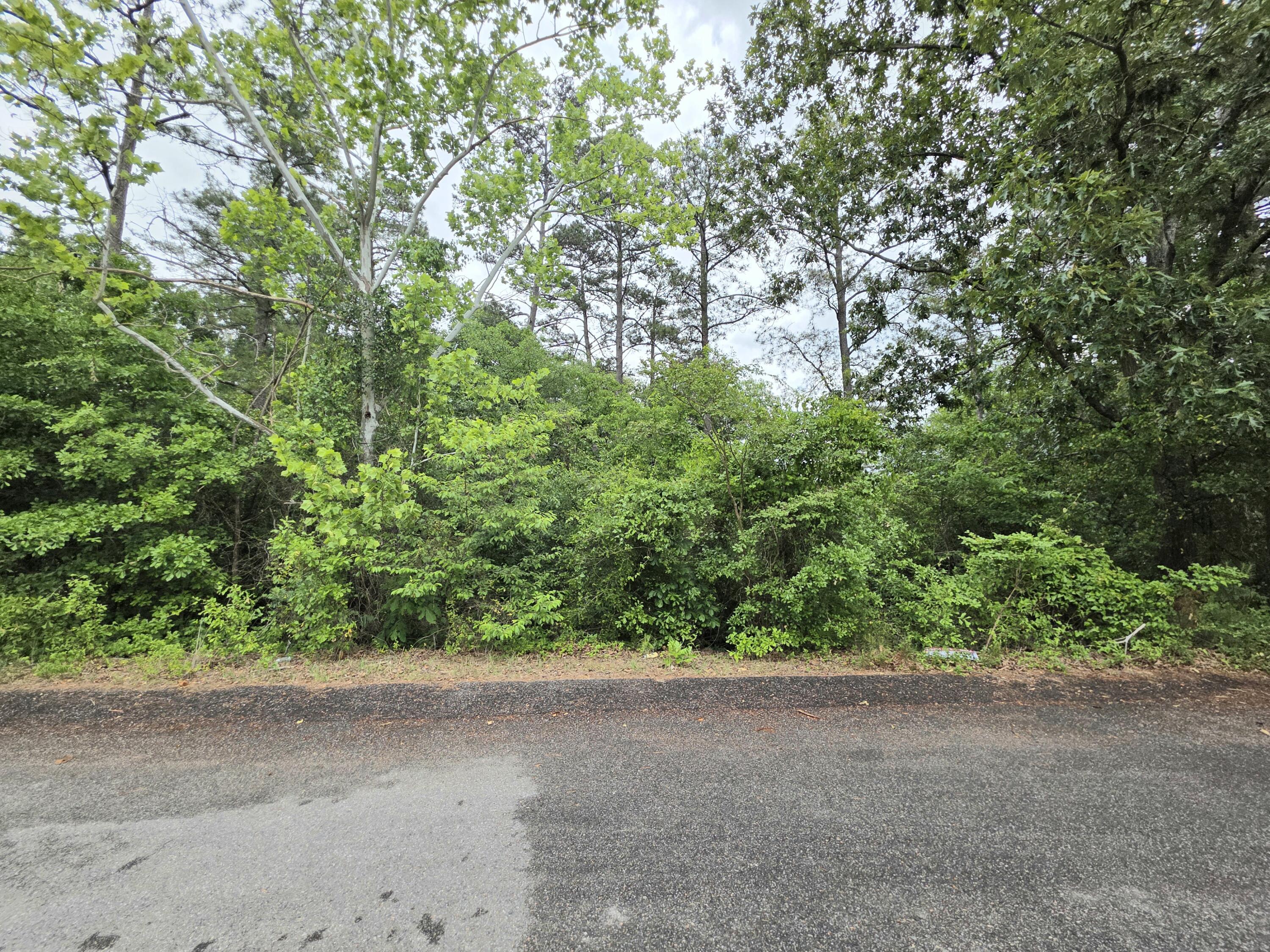 Land in North Augusta 3