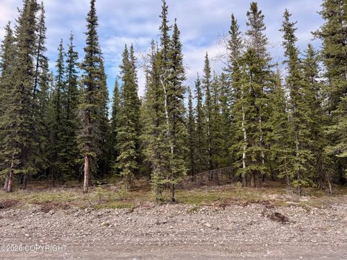 L14B9 Pringle Road, Tok, AK, 99780 | Card Image