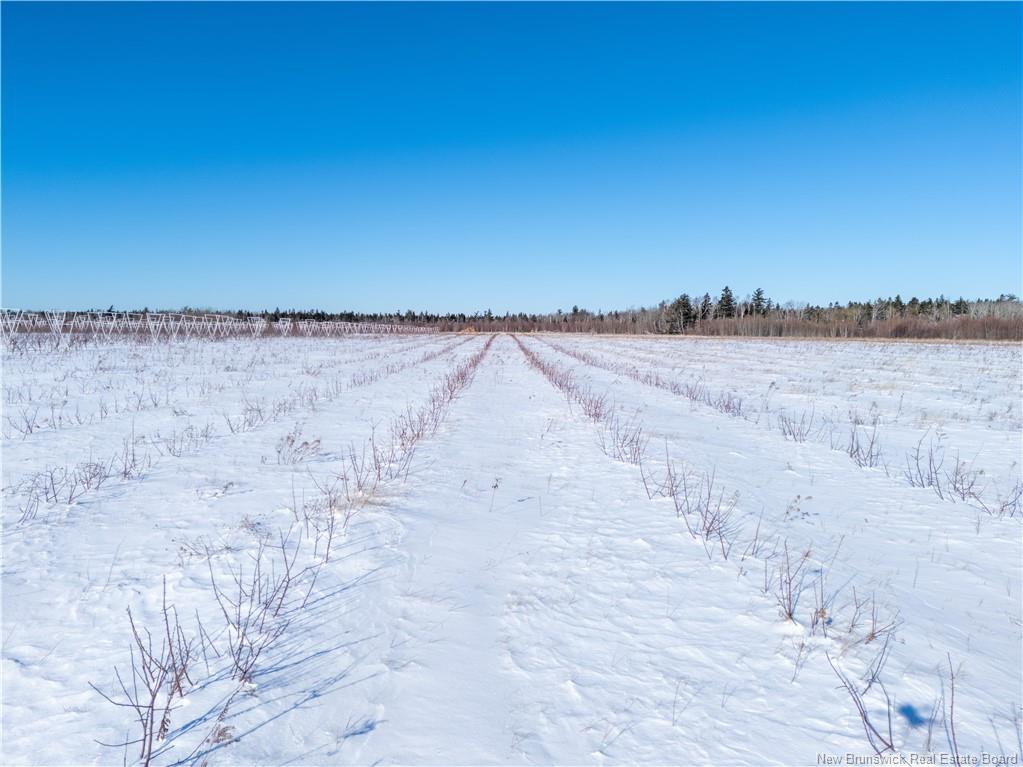 Land in Sainte-Anne-De-Kent 2