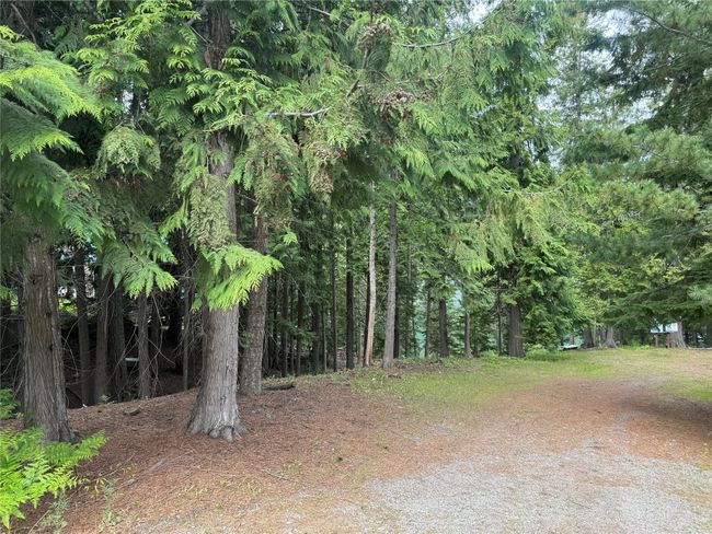 Angel Island Community area | Image 65