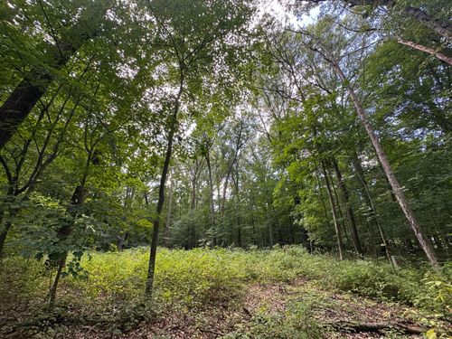 4540 Ross Dr, Benton Harbor, MI, 49022-9274 | Card Image