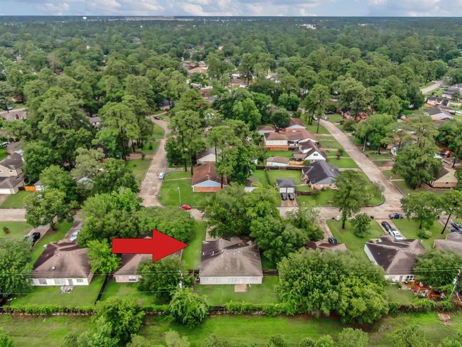 With many neighbors you are not alone in this neighborhood. | Image 44