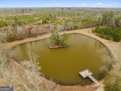1156 Blue Springs Rd, Sylvester, GA, 31791-4242 | Card Image