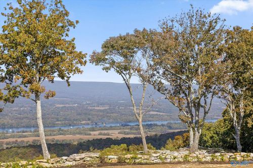 Lot #1 County Road 81, Flat Rock, AL, 35966 | Card Image