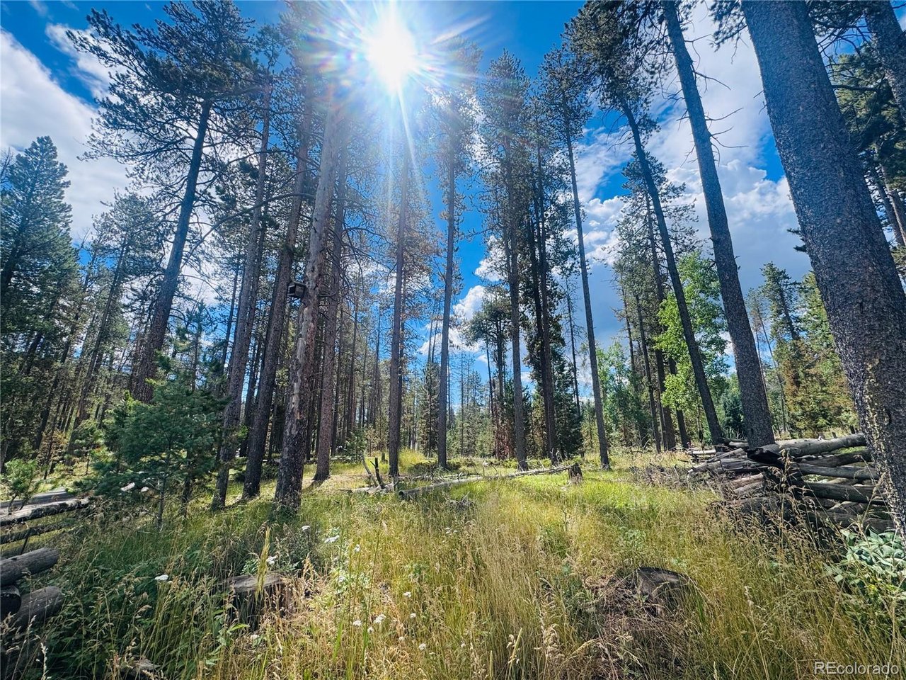 Land in Conifer 3