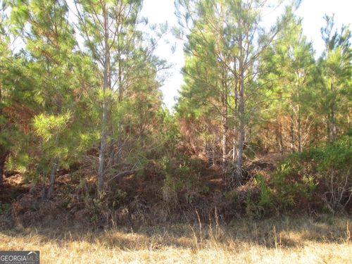 0088 003A Pine Level Church Rd, Hazlehurst, GA, 31539 | Card Image