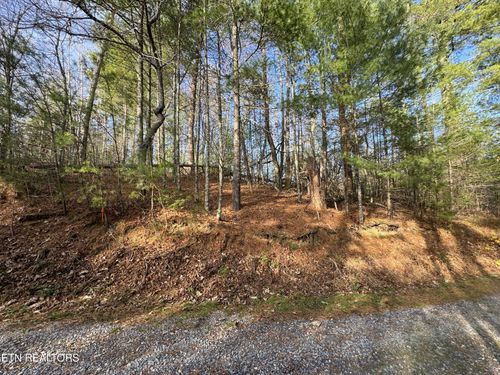 0 Bible Way Rd, Hartford, TN, 37753 | Card Image