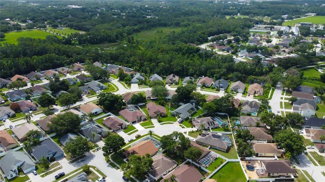 28826 Windover St, House other with 4 bedrooms, 2 bathrooms and null parking in WESLEY CHAPEL FL | Image 65