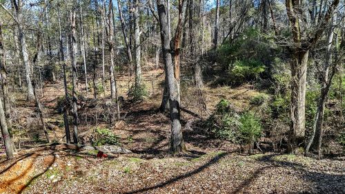 00 Cedar Grove Rd, Townville, SC, 29689 | Card Image