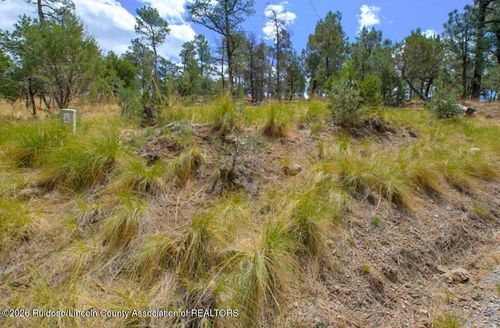 Lot 6 Pine Knot Trail, Alto, NM, 88312 | Card Image