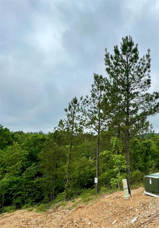 Land in Broken Bow