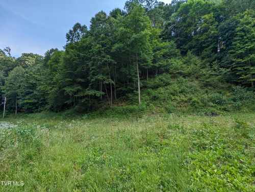 Tbd New Hurland Church Ln, Hiltons, VA, 24258 | Card Image