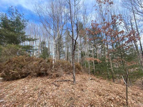 Lot 31 Scenic Hills Dr, Williamsburg, MI, 49690 | Card Image