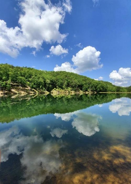 1751 Elk Trail, Talking Rock, GA, 30175 | Card Image