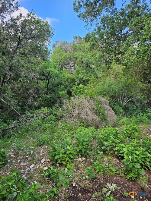 0 Happy Hollow Dr, New Braunfels, TX, 78132 | Card Image