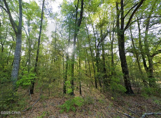 0 Messer Rd, Home with 0 bedrooms, 0 bathrooms and null parking in Sneads FL | Image 10