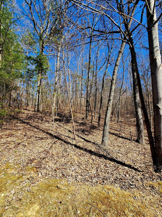0 N Woods Ln, Home with 0 bedrooms, 0 bathrooms and null parking in Trenton GA | Image 7