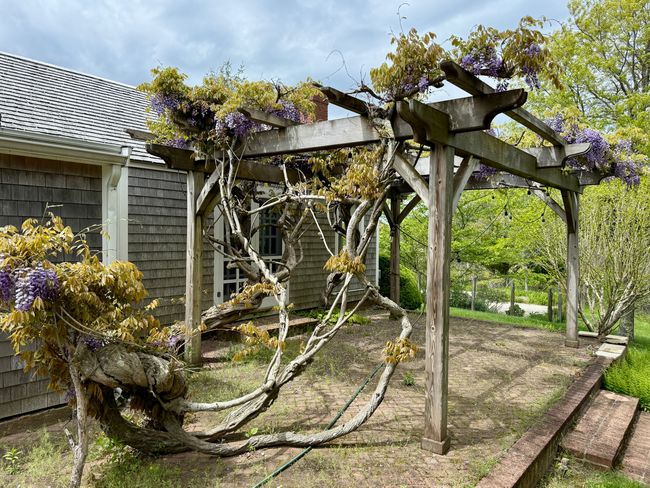 C - 19-C Old Woods Rd, House other with 4 bedrooms, 3 bathrooms and null parking in Chilmark MA | Image 25
