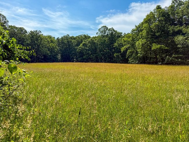 2486 Laurel Fork Rd, Home with 0 bedrooms, 0 bathrooms and null parking in Rocky Gap VA | Image 43