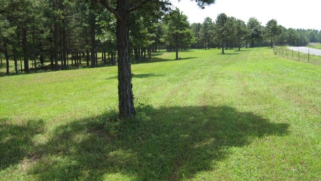 00 Morgan Rd, Home with 0 bedrooms, 0 bathrooms and null parking in Rose Bud AR | Image 7