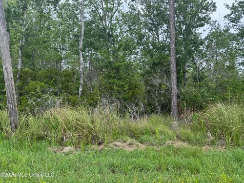 Nsn Lot 24 Shawnee St, Kiln, MS, 39556 | Card Image