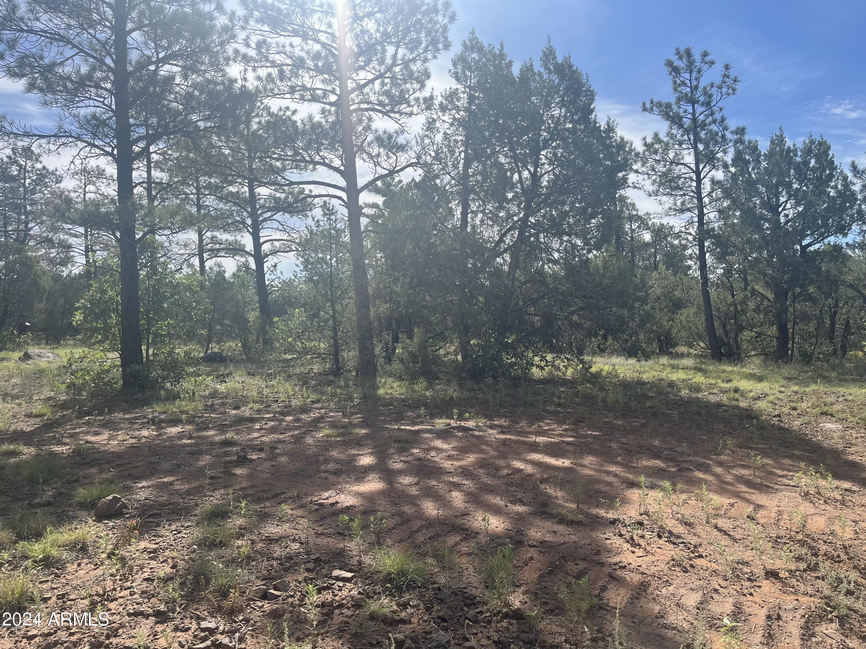 Land in Lakeside 3