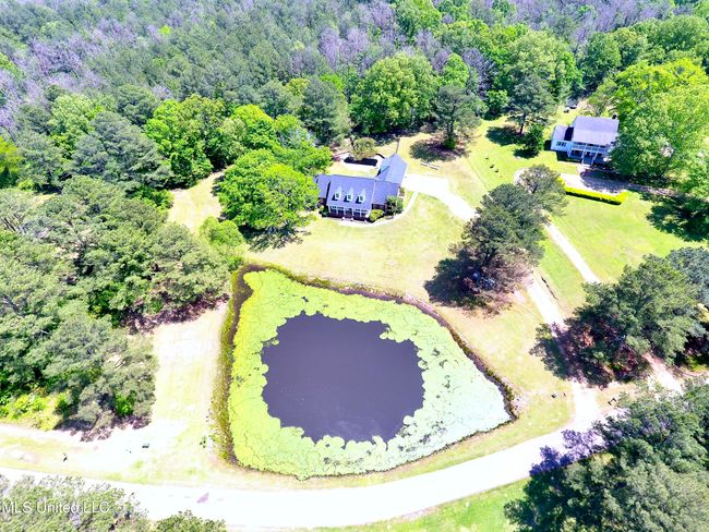 DJI_0100 | Image 4