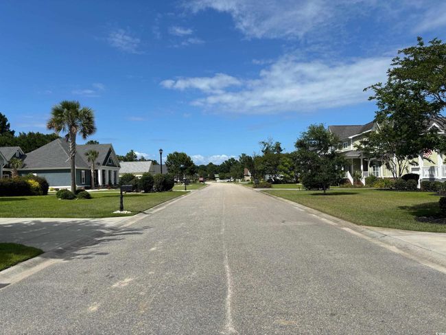 View of road | Image 15