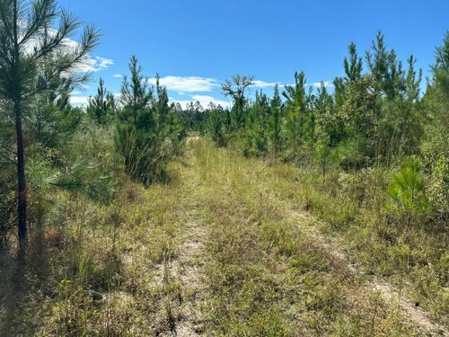 Parcel B Millside Rd, Laurel Hill, FL, 32567 | Card Image
