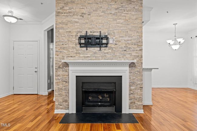 16-web-or-mls-5Z8A9561 | Image 9