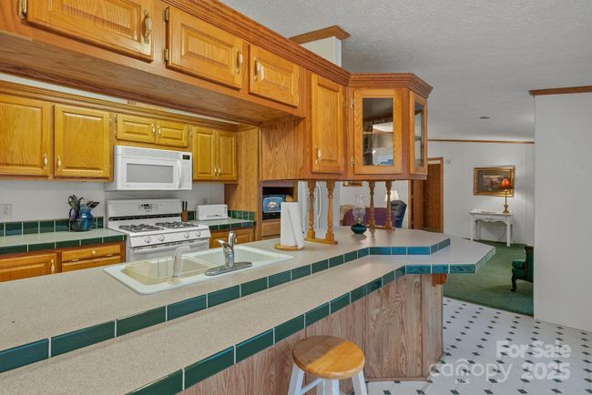 8020 Meadow Fork Rd, House other with 7 bedrooms, 7 bathrooms and null parking in Hot Springs NC | Image 16
