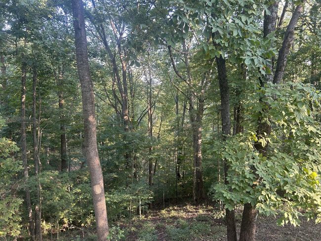 A - 8465 Old Charlotte Pike, House other with 3 bedrooms, 2 bathrooms and 5 parking in Pegram TN | Image 7
