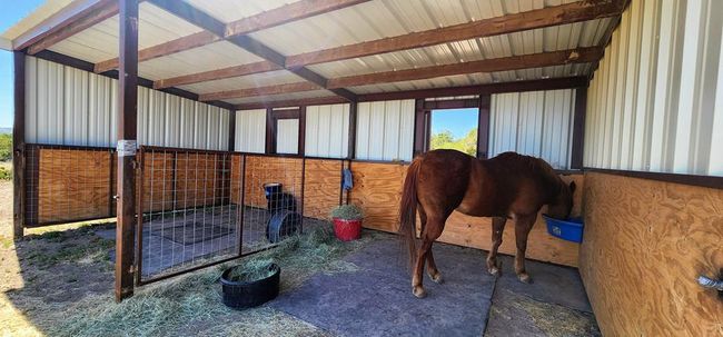 AB-363-AND-495 - 1500 Sales Rd, Home with 0 bedrooms, 0 bathrooms and null parking in Mertzon TX | Image 34