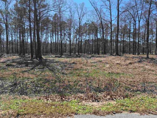 Tract 2 TBD Lanni Lane, White Hall, AR, 71602-0000 | Card Image