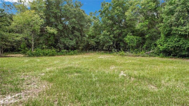 4814 Griffin View Dr, House other with 3 bedrooms, 3 bathrooms and null parking in LADY LAKE FL | Image 75