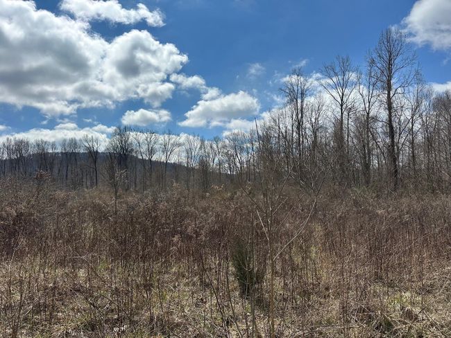 126 Northcutts Cove Rd, Home with 0 bedrooms, 0 bathrooms and null parking in Beersheba Springs TN | Image 5