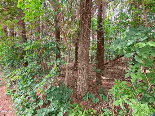 Lot 3 Squire Cir, THOMSON, IL, 61285 | Card Image