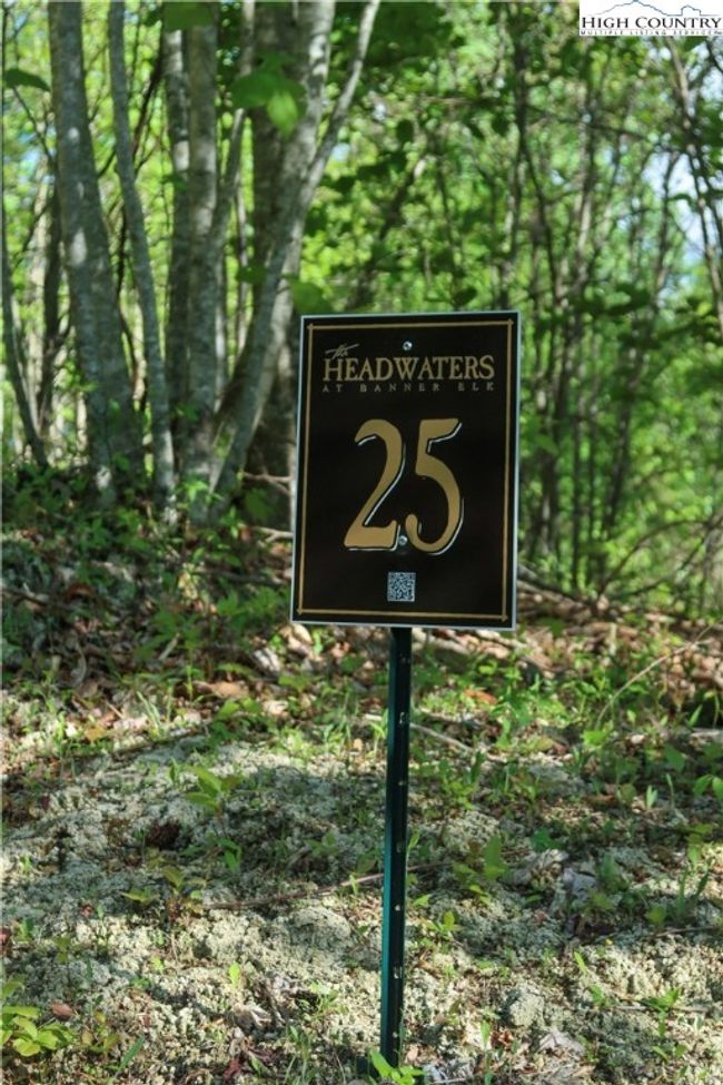 Lot 25 1.31 Acres | Image 5
